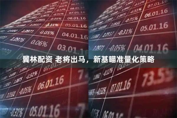 翼林配资 老将出马，新基瞄准量化策略