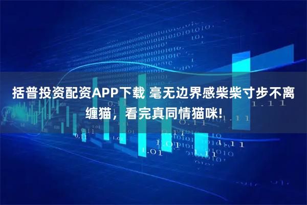 括普投资配资APP下载 毫无边界感柴柴寸步不离缠猫，看完真同情猫咪!